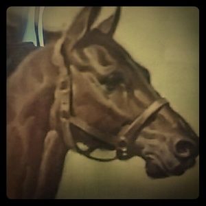 Meet your Posher, Annika